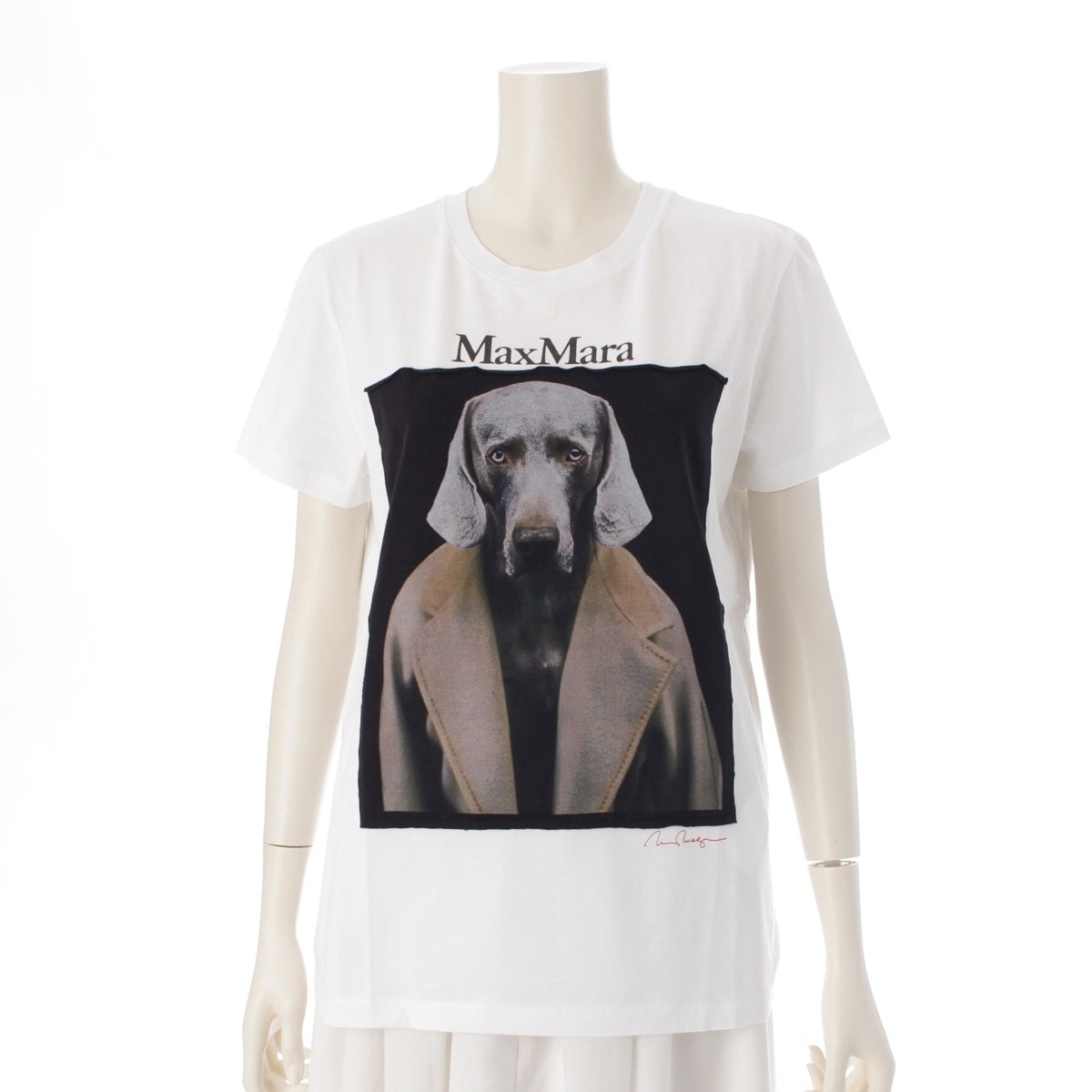 MAX MARA cotton Omotesando Limited CIPRIA Dog Print Short sleeve T-shirt 2319410831 white M