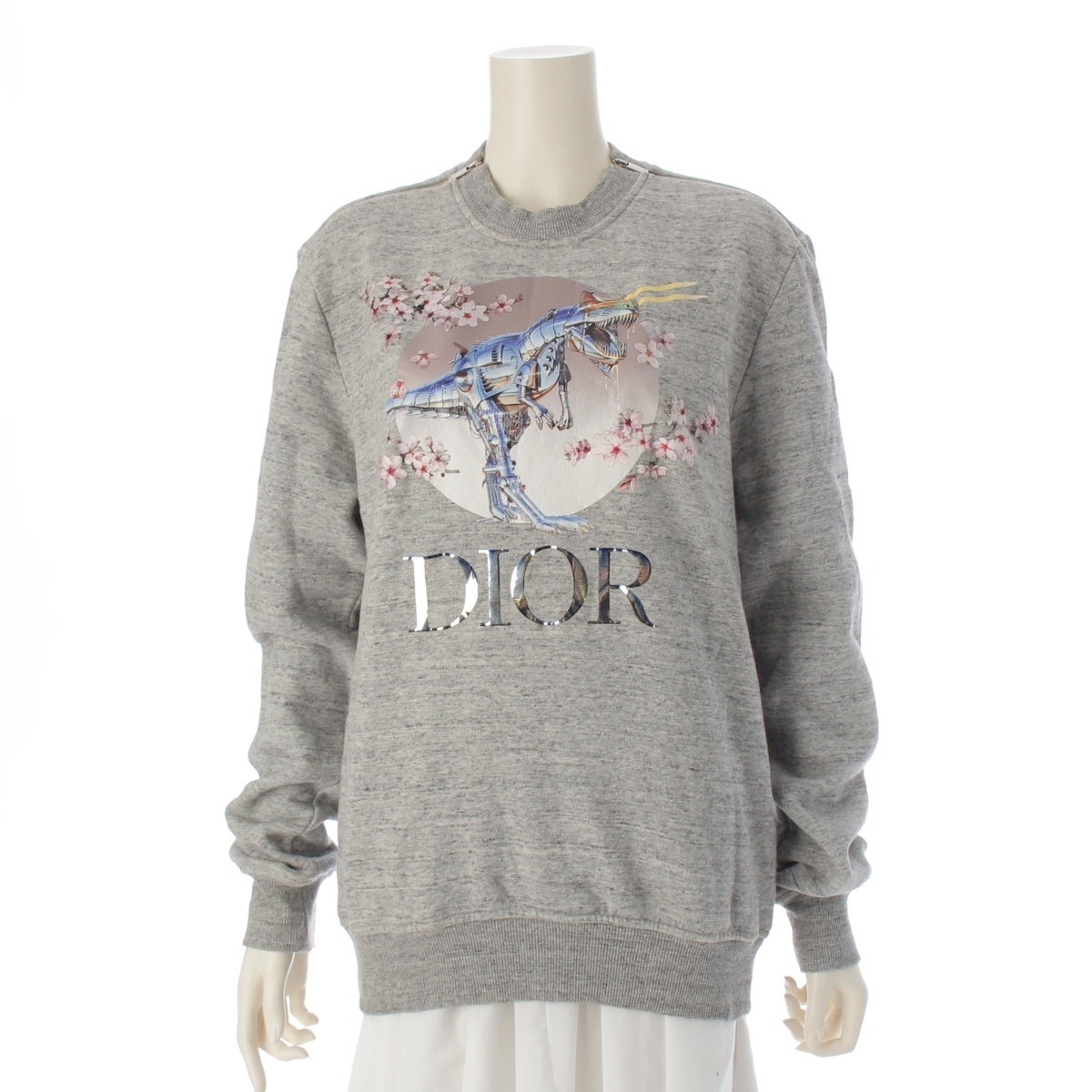 Christian Dior Hajime Sorayama logo tyrannosaurus sweat trainer 933J635B0555 gray S