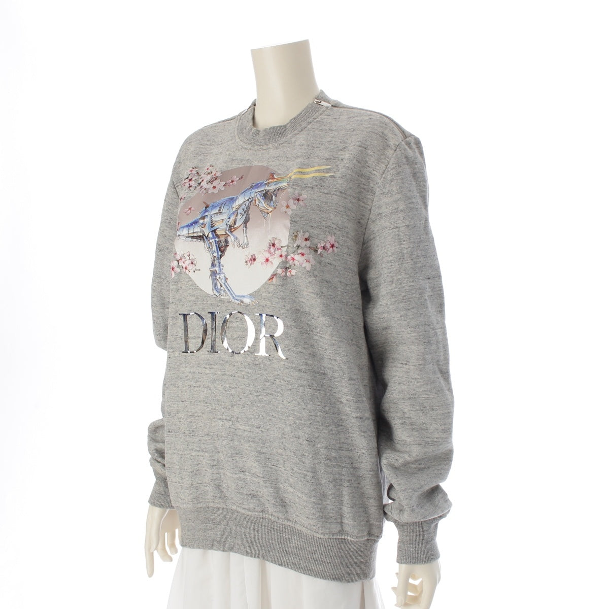Christian Dior Hajime Sorayama logo tyrannosaurus sweat trainer 933J635B0555 gray S