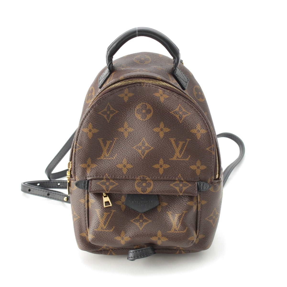 LOUIS VUITTON monogram palm springs Backpack Daypack Backpack MINI M41562 Brown