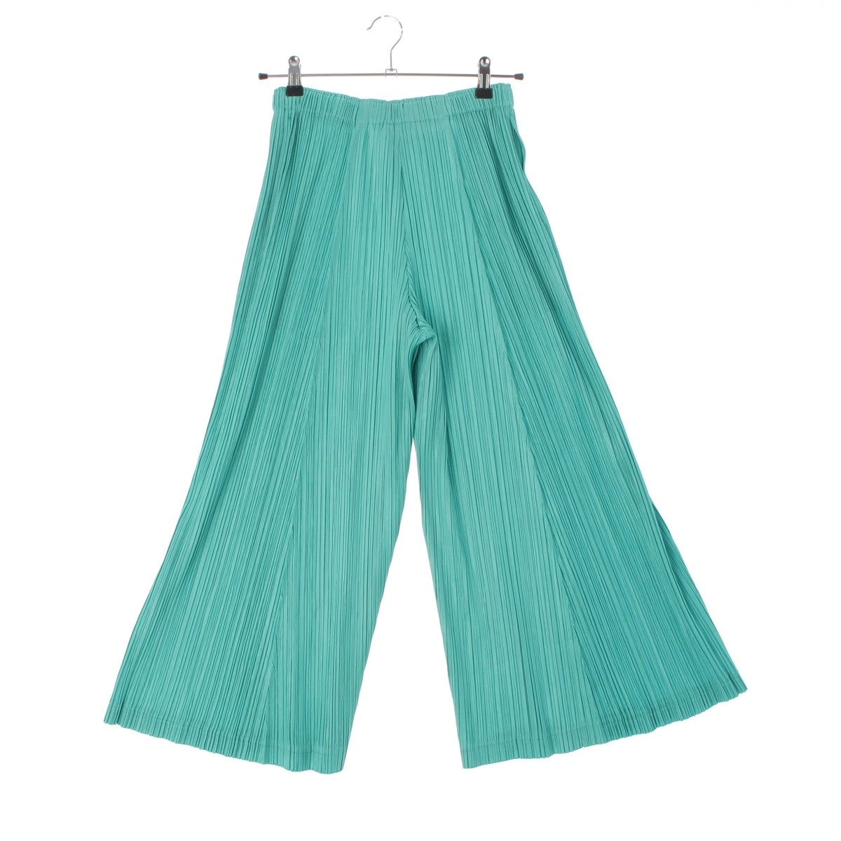 ISSEY MIYAKE THICKER BOTTOMS 2 Pants Bottoms PP43JF383 mint 3