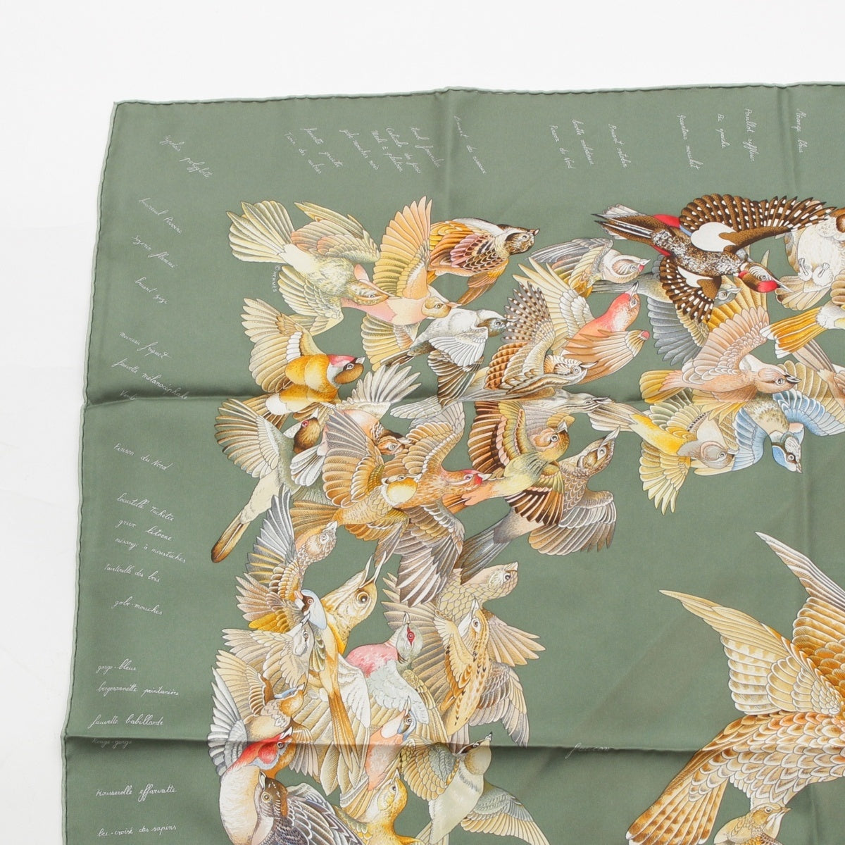 HERMES Carre 90 L'intrus Intruder silk bird scarf green